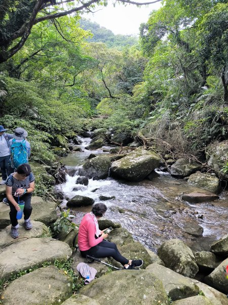 20251108草嶺古道2936127