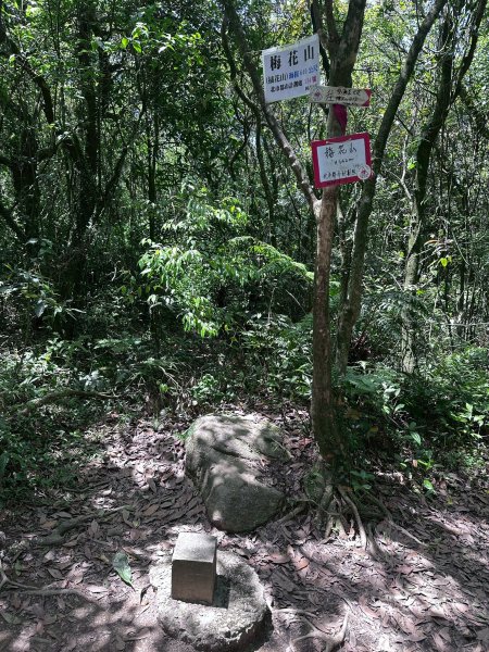 台北大縱走第四段2766857