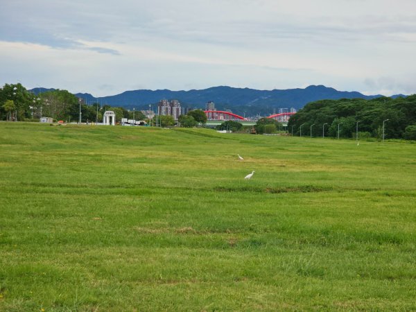 2025臺北大縱走第八段：捷運動物園站至捷運關渡站[河濱自行車道]2924026