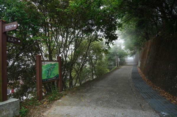 嘉義 梅山 太平山、梨子腳山、馬鞍山、二尖山、大尖山、碧湖山2748970