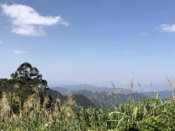 獅公髻尾山連走伏獅山接九芎坑山(玉桂嶺)912593