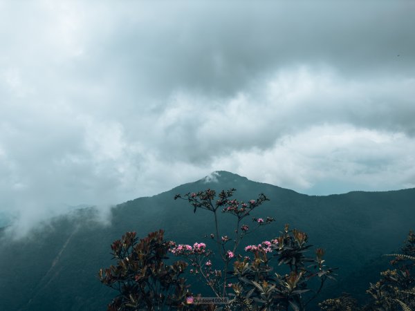 水社大山北稜線2519490