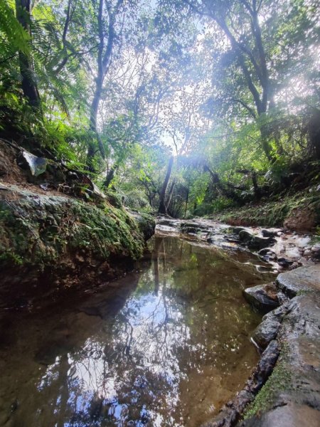 三貂嶺瀑布百大任務解鎖2957924