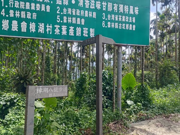 華山4-2號步道上雲嘉連峰2579353