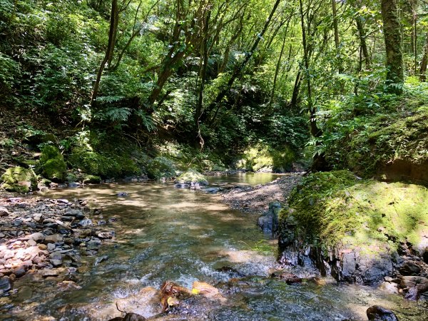 淡蘭古道坪溪段1006443