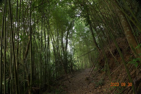 苗栗 大湖 玉女山、金童山、汶水山2301465