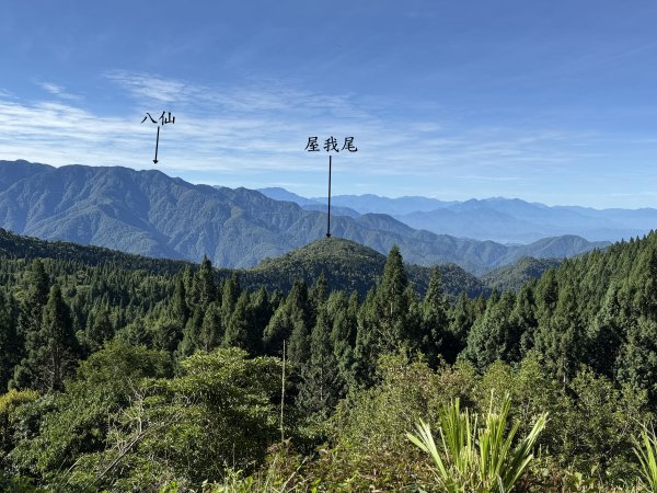 大雪山林道-屋我尾山O繞 202506152816277