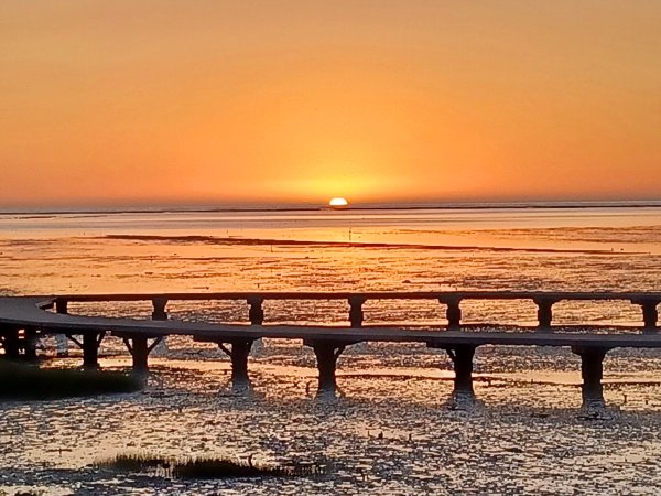【苗栗新竹】通霄神社x通霄虎頭山步道x新竹香山濕地賞蟹步道2925439