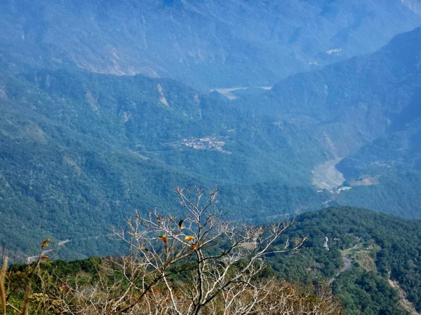 德文山步道(觀望山)-2024屏步青雲 尋寶任務2681823