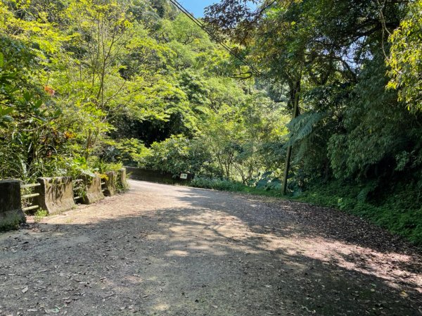 新北｜瑞芳．雙溪 淡蘭古道中路．暖東舊道（TK2-1~2-5 暖東峽谷步道、暖東舊道、五分山步道）2004164