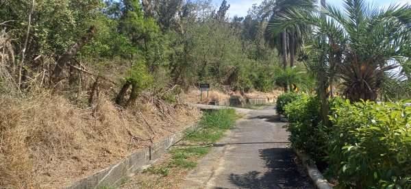 大山母山(南灣-南安宮).屏東恆春2731359