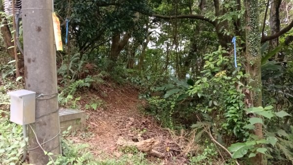 石門區北海道場-九芎林西北峰-九芎林山-土地公嶺古道O型3119048