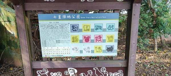 松柏坑山、田園茶香賞茶步道2686427