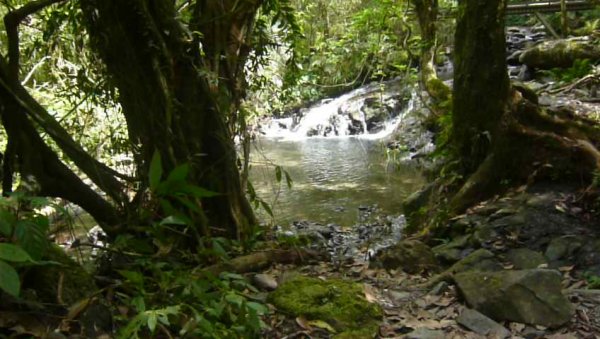 礁溪林美石盤步道643405