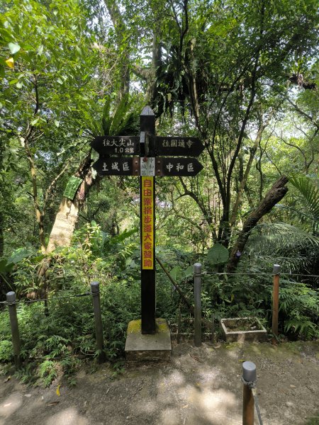 20240923微笑山線：【天上山系】烘爐地土地公段2892437