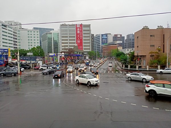 基隆河右岸尋花問草2091159