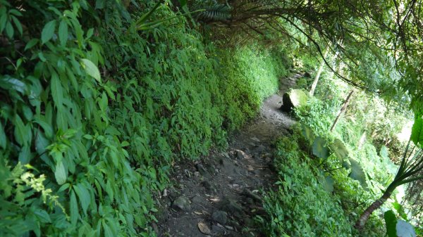 觀音山登山健行趣(小百岳05號)1632412