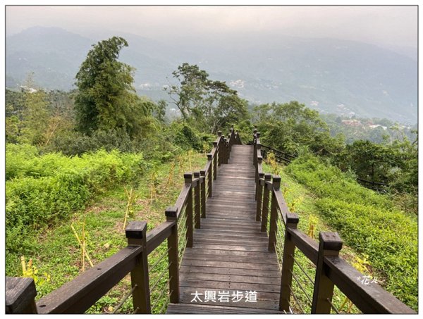 太興岩步道、萬鷺朝鳳、巧雲小棧 (嘉義 梅山)2886377