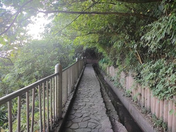 1121104貴子坑親山步道3099487