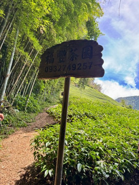頂石槕步道群順訪樂野山2808421