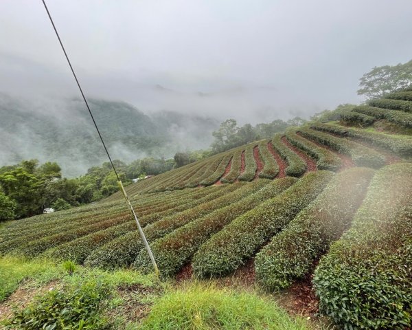 微笑山⛰️線-大棟-二格山-五分山-天上山-鳶山💎12條步道完成💙2834122