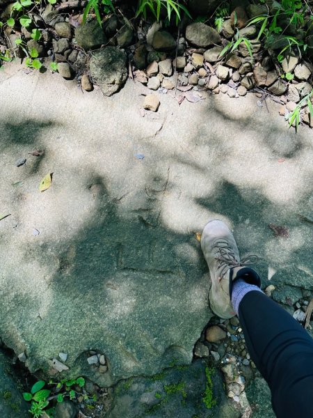 關仔嶺大凍山2845812