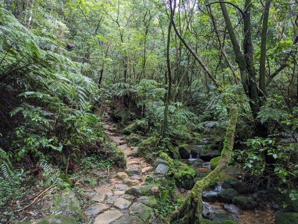 2023-10-22 臺北大縱走第四段2792956