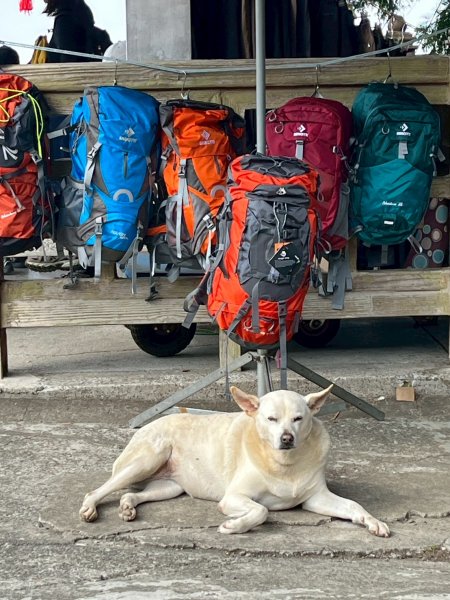 2026/2/22中坑山+飛鳳山3008110