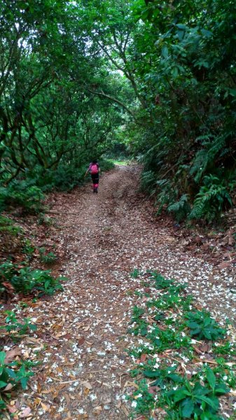 小百岳【尾寮山】905222