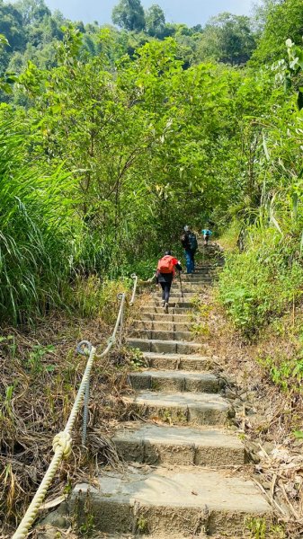 雲林古坑|峭壁雄風、幽情谷、青蛙石、水濂洞|一次看到8各景點的超高CP值步道2070385