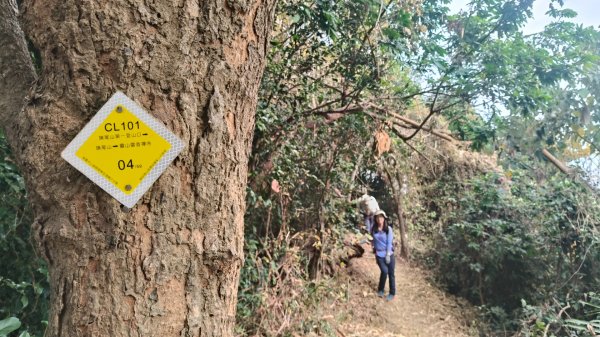 旗靈縱走11501172983335