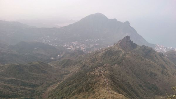 黃金三稜(無耳茶壺山-半平山-燦光寮山)284384