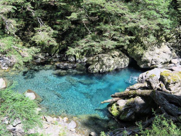 合歡溪步道慢遊 福壽山農場賞秋櫻1462162