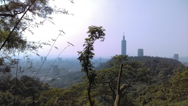 【臺北大縱走 6】象山拇指山南港山九五峰918409