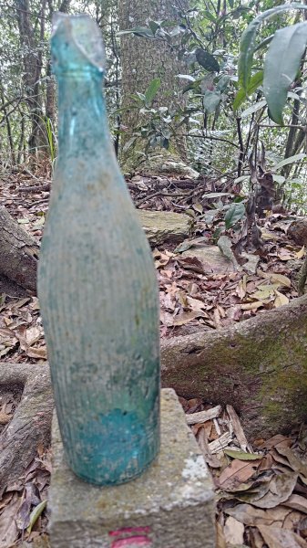 網子山、鳴海山3046449