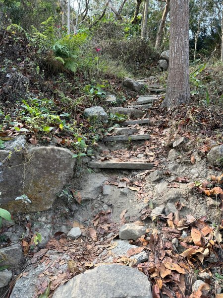 紫竹寺禮佛健走到刣牛湖山2105943