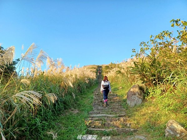 【新北。瑞芳】直上階梯朝聖百萬夜景。 小百岳集起來。 編號6小百岳 基隆山步道1570184