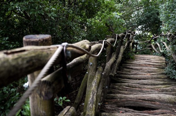 大坑1號步道2865267