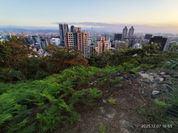 【臺北大縱走 5】碧山巖→忠勇山越嶺步道→金龍產業道路→圓明寺步道→鄭成功廟→潛園→格物台→劍潭古寺2959038