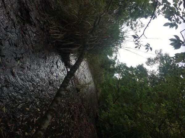 分遣所、斜壁2774340