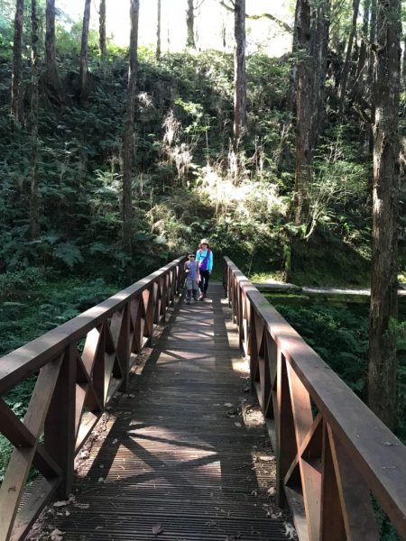 阿里山雙峰大塔山對高岳連走451417