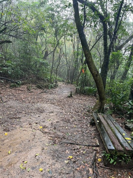 2025-01232淡蘭古道北二段(燦光寮古道到澳底)2696712