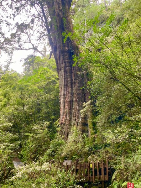 金牌兄弟療癒之旅 一日單攻北大武山2833997