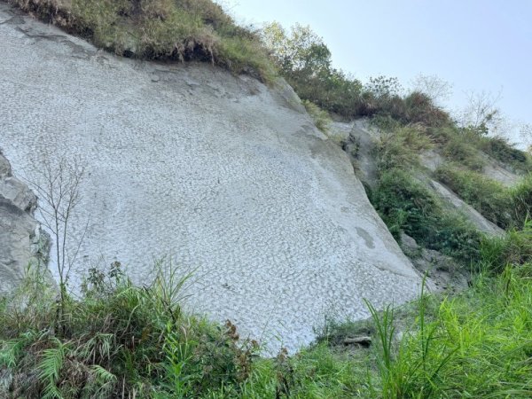 戲說台灣-龍崎鄉野傳奇-“窩鏡窗”與南瀛百岳[龍船山-龍船窩山-大林尾山-大坑尾山]輕鬆遊