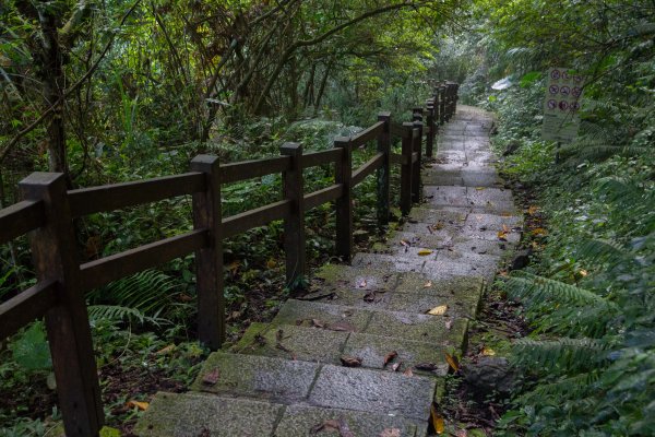 步道巡訪員 l 四天王山步道九月巡訪日誌1091884