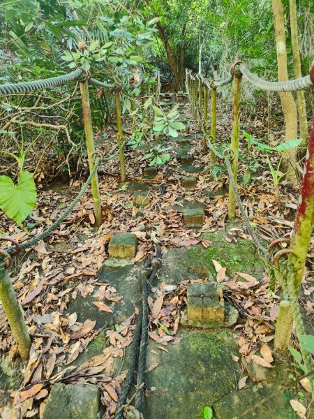 香路古道(巡護中路徑不明顯)暫時不要去2529813