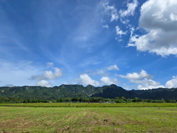 大農大富平地森林園區2593882