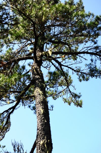 武法奈尾山天巒池872475