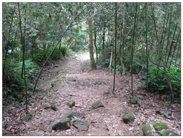 馬那邦山(小百岳)/上湖登山口2427065