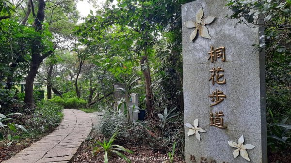《新竹》城市微旅｜十八尖山+香山濕地賞蟹步道202511012928398